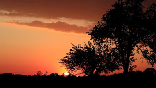 sunrise-5110334_1280